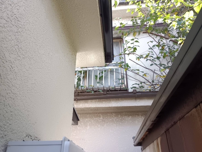 建物上部の枝｜作業後