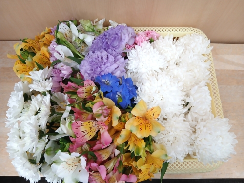 大宮聖苑にて火葬式